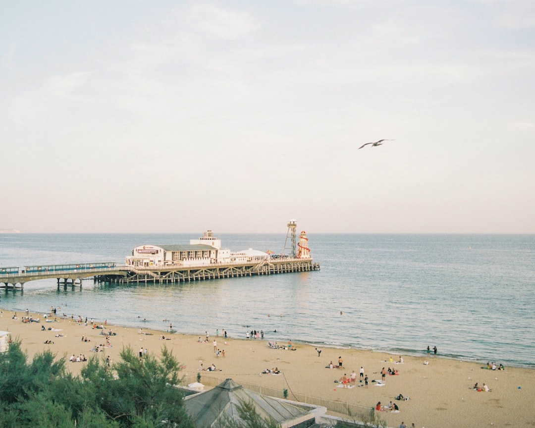 Town Centre, Bournemouth: a pier with people on it and a large body of water in the background